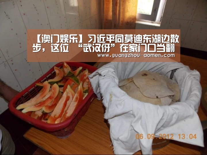 澳门娱乐网址